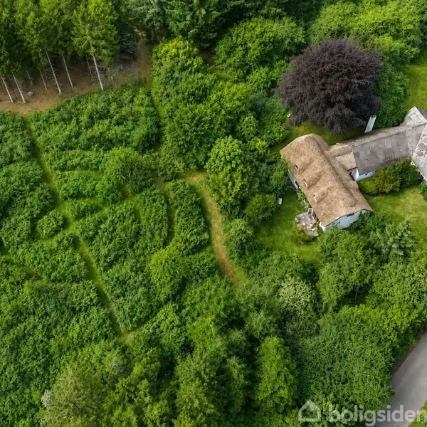 Sommerhus med stråtag omkranset af tæt bevoksning og skov, beliggende ved en snoet vej. Mange træer og buske omringer huset. Ingen synlig tekst.