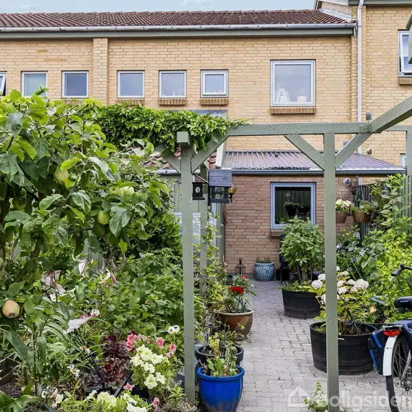 En frodig have med en æbletræ i forgrunden, der vokser langs en flisebelagt sti. Omkring er blomster og buske i krukker foran et rækkehus i gul mursten.