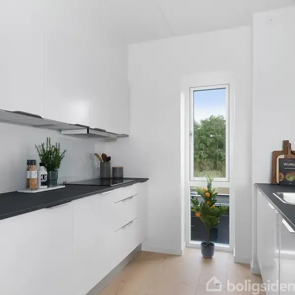 Et moderne køkken med hvide skabe og sorte bordplader. En stor vask er placeret nær et vindue. På hylden står krydderier og planter. Udenfor ses træer.