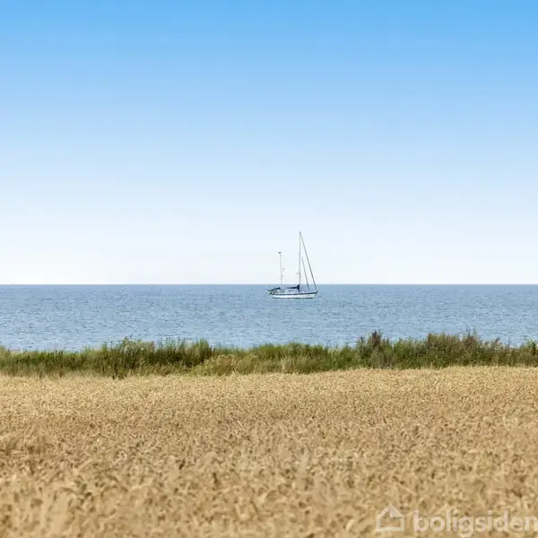 Sejlskib glider roligt på havet, omgivet af en klar blå himmel. I forgrunden ses en gylden kornmark med grønne buske langs kysten.