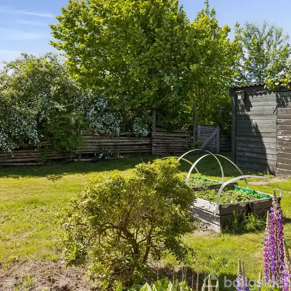 En grøn have med en træbeklædt skur og et lille drivhus. Græsplænen er omgivet af blomsterbede og en hæk af buske og træer.