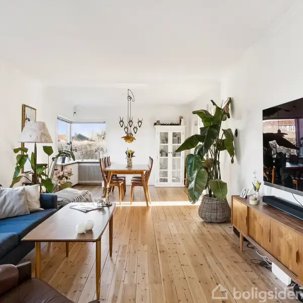Stue med blå sofa, der står foran et træbord. Store planter og en stor fladskærm-TV på skænken. Spisebord med stole ved vinduet i baggrunden. Ingen tekst.