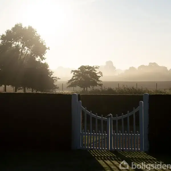 En hvid låge står åben foran en hæk i morgenlys. I baggrunden ses en mark og træer omhyllet af let tåge, der skaber en fredfyldt atmosfære.