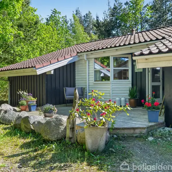 Hyggeligt sommerhus med rødt tegltag og sorte trævægge, omgivet af frodige træer. Foran huset står blomsterkrukker, og der ligger store sten. Terrasse med stol i solen.