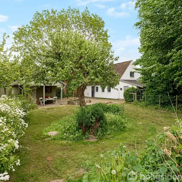 Et frodigt haveområde med et stort træ centralt; baggrund præget af et hvidt hus med brun tag, græsplæne omringet af buske og blomstrende planter.