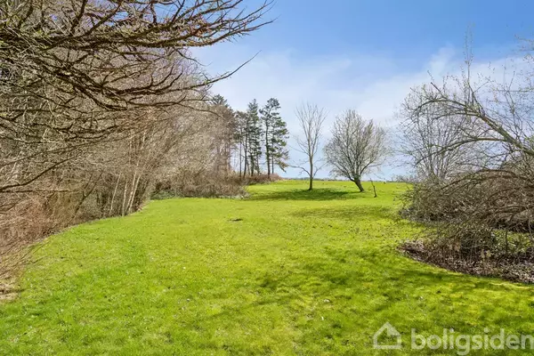 Grøn græsplæne strækker sig i et kuperet landskab, omgivet af træer med bare grene under en lys blå himmel.
