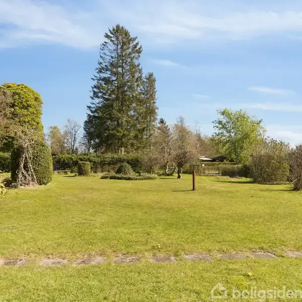 Stor, åben græsplæne med få træer og buske i baggrunden. I midten står en træstolpe. Solrigt vejr og blå himmel.