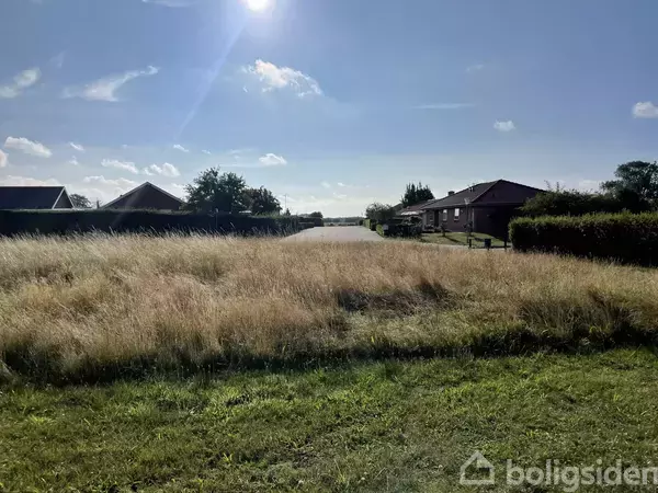 En åben græsmark med højt, gyldent græs strækker sig mod en vej i en stille forstad. I baggrunden ses huse, buske og en blå himmel med spredte skyer.