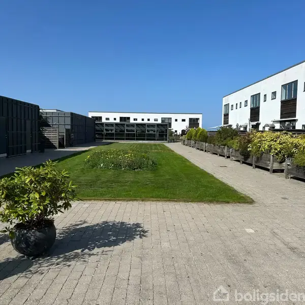 Grøn plæne omgivet af fliser og planter, foran moderne hvide bygninger. Ståltrapper ses til venstre, rækker af buske til højre, under en skyfri blå himmel.