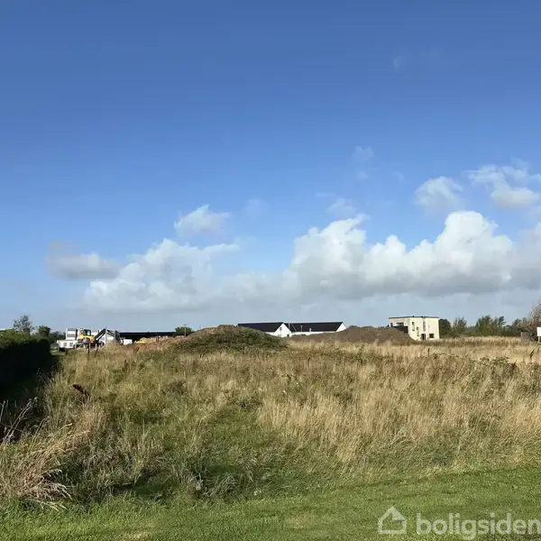 En åben byggegrund med højt græs og buske. Baggrunden viser nogle huse og bygninger under opførelse under en blå himmel med hvide skyer.