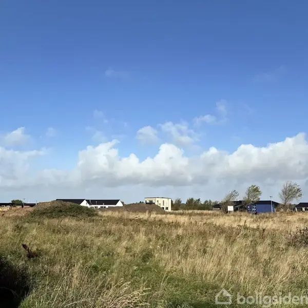 En række af modernistiske huse står stille på en åben mark under en blå himmel med spredte skyer. Vegetationen er vildtvoksende og består af høje græsarter og buske.