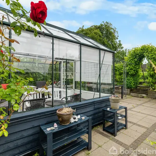 Drivhus med glasvægge og sort ramme står på en flisebelagt terrasse omgivet af grønne buske og planter. Rød rose hænger i forgrunden. Skov i baggrunden.
