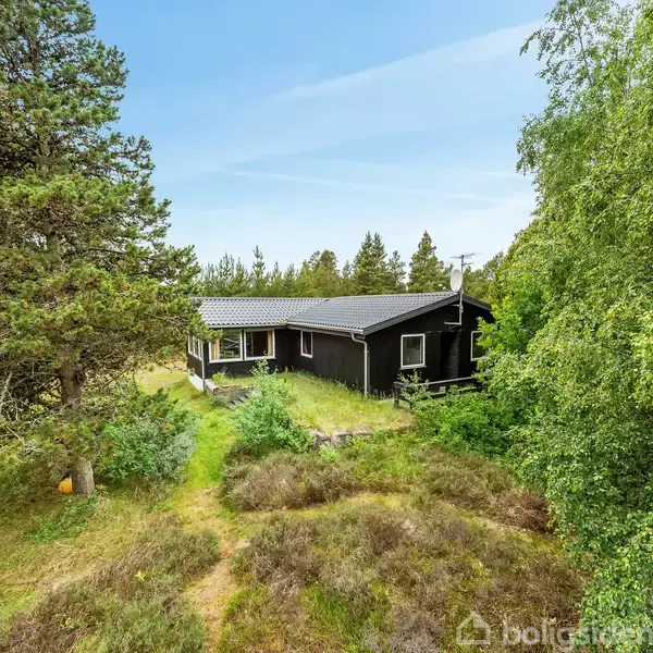 Et sort træhus står fredfyldt i en skovklædt have. Det er omgivet af høje træer og tæt grønt løv, hvilket skaber en naturlig og rolig atmosfære.
