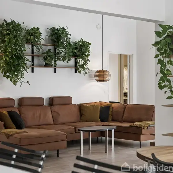 Brun lædersofa står i et moderne, lyst stueinteriør. Over sofaen hænger grønne planter på en hylde. Der er to runde lamper og hylder med dekorationer i rummet.
