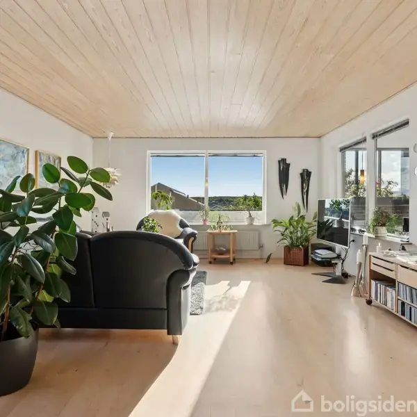 Stue med sorte sofaer står i et lyst rum med trægulv og træloft, store vinduer giver udsigt til naturen udenfor, omgivet af planter og kunst på væggene.