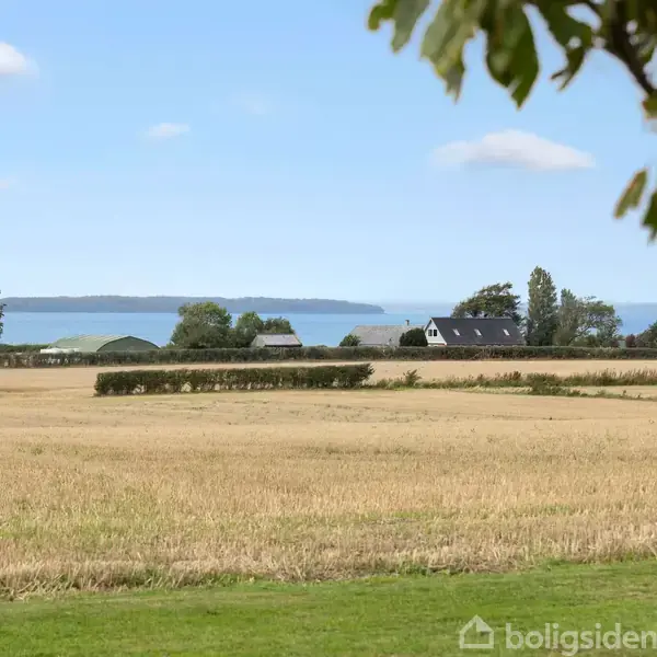Et åbent landskab med gyldne marker strækker sig ud mod en kystlinje, hvor en gårdbygning ses i det fjerne. Træer og en blå himmel omgiver scenen.