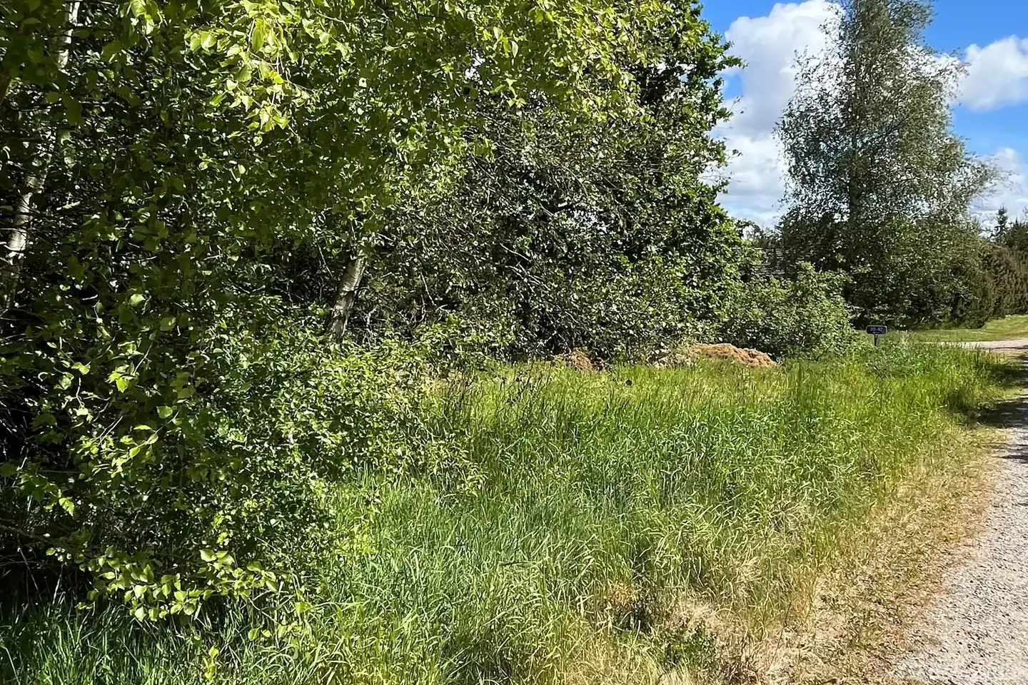 Fritidsgrund på Marthasvej 42, 9670 Løgstør