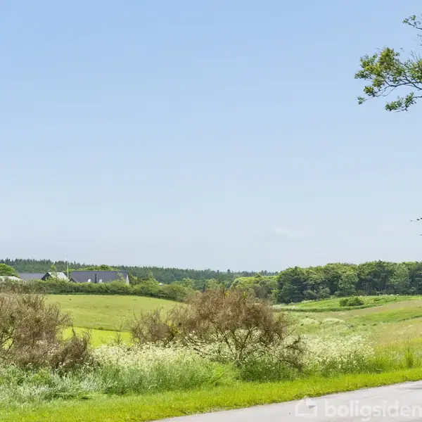 Landskab med grønne marker og træer strækker sig under en blå himmel. En vej løber langs marken, og bygninger kan ses i baggrunden.