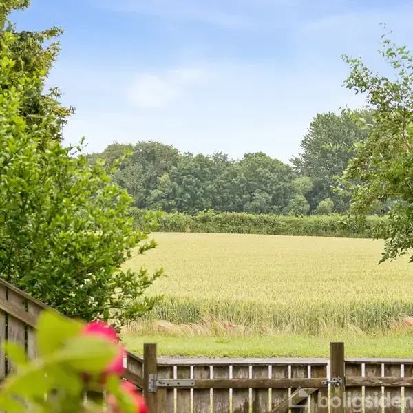 Blomster står i forgrunden ved en træhegnsport, der åbner mod en gylden mark og skov i baggrunden under en blå himmel.