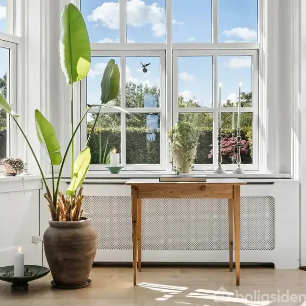 En stor plante står i en potteskjuler på et lyst trægulv. Et træbord ved vinduet fungerer som fokus, mens lys og planter omkranser det lyse rum med udsigt til en have.