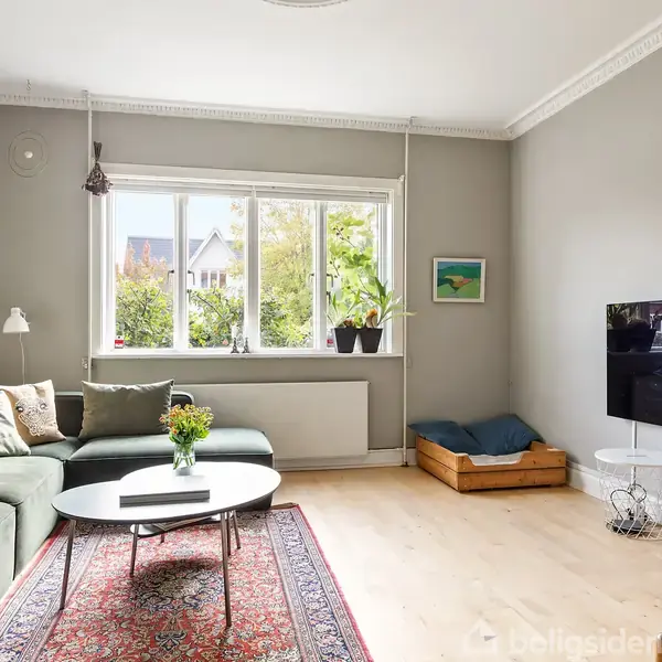 En stue med en grøn sofa, sofabord og blomster på tæppe. Et stort vindue viser udsigt til have. En vægmonteret tv over et lille bord. Potteplanter står ved vinduet.