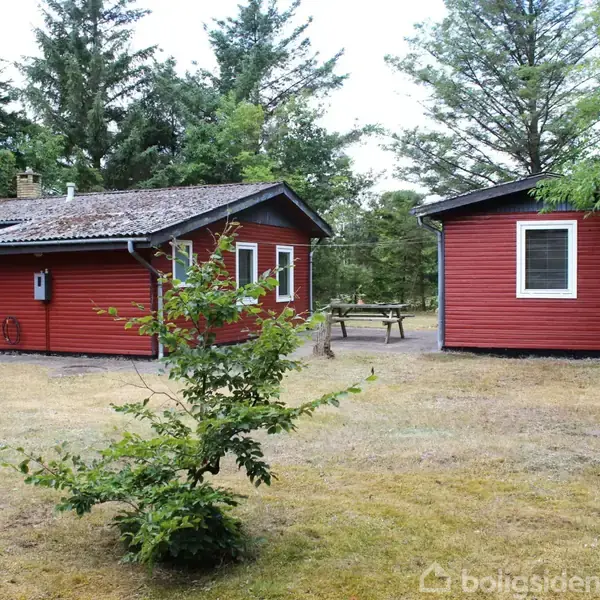 Rødt træsommerhus med sort tag står stille omgivet af skov. I forgrunden ses en busk og et græsareal. Der er en udestue og et picnicbord i nærheden.