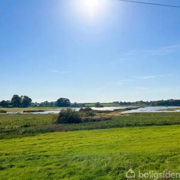 Græsmark under en klar blå himmel, beliggende ved en sø med træer i horisonten. Solen skinner klart over landskabet.