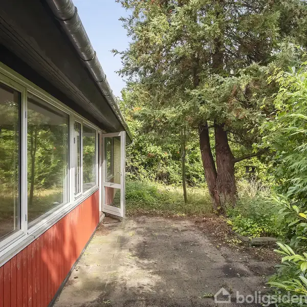 Hus delvist skjult af tæt, grøn bevoksning, står omgivet af buske og træer i en frodig have. Sti fører gennem vegetationen hen til huset under en klar blå himmel.