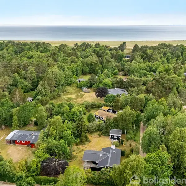 Huse ligger spredt ud mellem frodige træer og grønt løv, mens en strandstrækning ses i baggrunden. En rød bygning skiller sig ud blandt de grønne omgivelser.