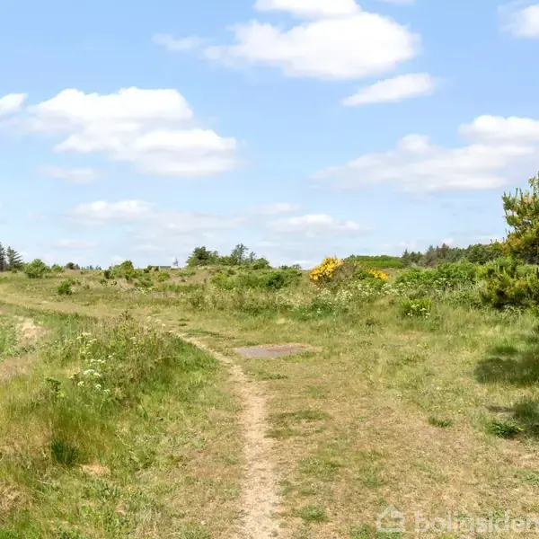 En smal sti snor sig gennem en grøn eng med spredte, små buske. Himlen er blå med enkelte skyer. Området er skovagtigt med tæt, naturlig vegetation.