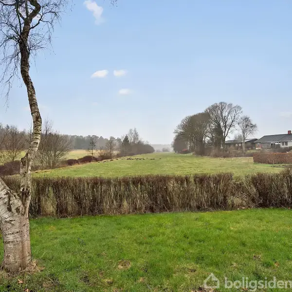 Et træ står ved kanten af en grøn græsplæne, omgivet af en hæk. I baggrunden ses åbne marker med et hus og en skov.