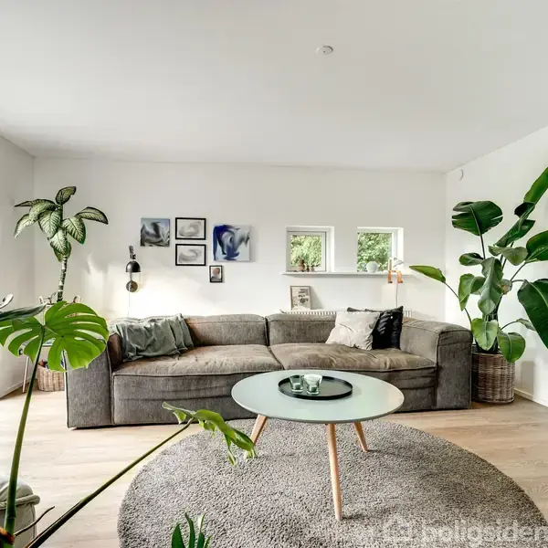 En stor grå sofa står i centrum af en lys stue, omgivet af grønne planter. Et glasbord står på et rundt tæppe foran sofaen, og vægkunst hænger over sofaen.