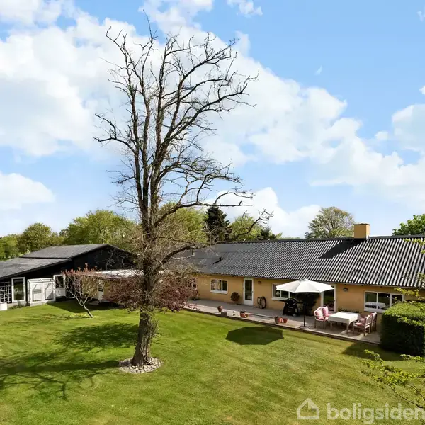 Hus ligger i en grøn have med en stor, bart træ i forgrunden. Terrassen foran huset har havemøbler under en parasol. Himlen er delvist skyet.