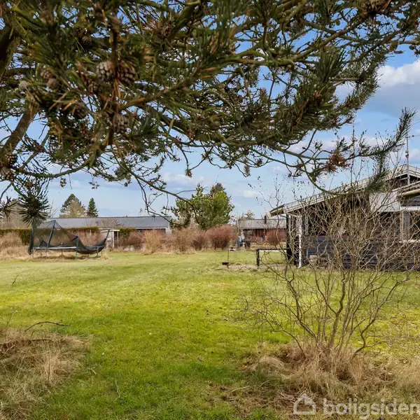 Et stort, åbent græsareal omkranset af træer og buske. Til højre står et mørkt træhus med hvide vinduer. I baggrunden ses en trampolin og et hegn.