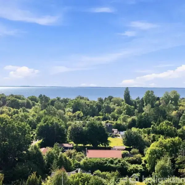 En grøn skov strækker sig mod en horisont med havudsigt i baggrunden under en blå himmel med spredte skyer.