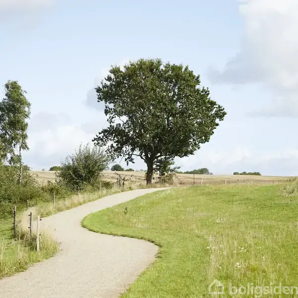 En snoet grussti krydser åbent landskab, omgivet af grønt græs og buske. En stor, frodig træ står ved siden af stien under en klar, blå himmel.