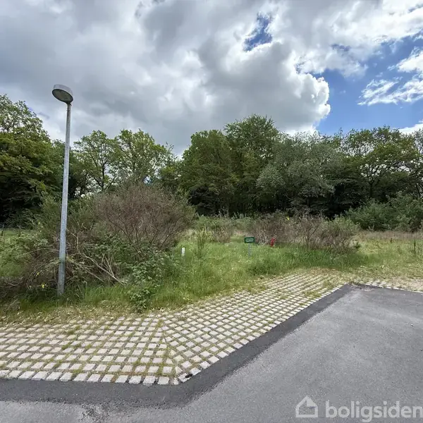 En grusparkeringsplads med en gadelampe står ved en græsmark omgivet af tætte træer under en skyet himmel. Ingen tekst fundet.