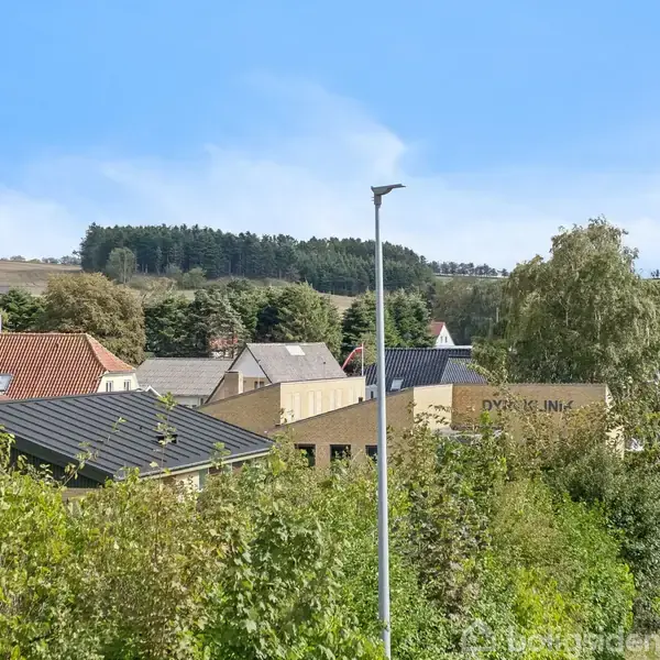 En række hustage set fra en højere vinkel. Husene er omgivet af grønne buske og træer. I baggrunden er der en skov og åbne marker under en blå himmel.
