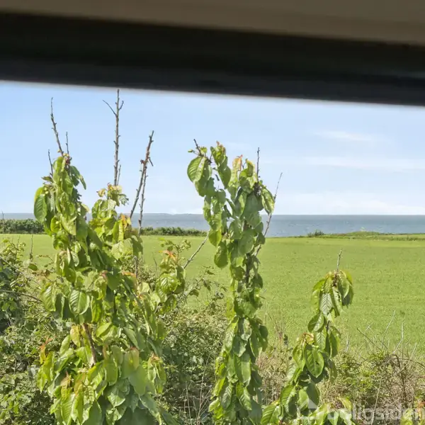 Træer står stille ved en vinduesudsigt, hvor grønne marker strækker sig mod en horisont med hav og blå himmel.