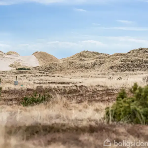 Sandklitter strækker sig over landskabet med græs og lave buske. En klar blå himmel skaber en fredelig atmosfære. Ingen tekst er synlig i billedet.