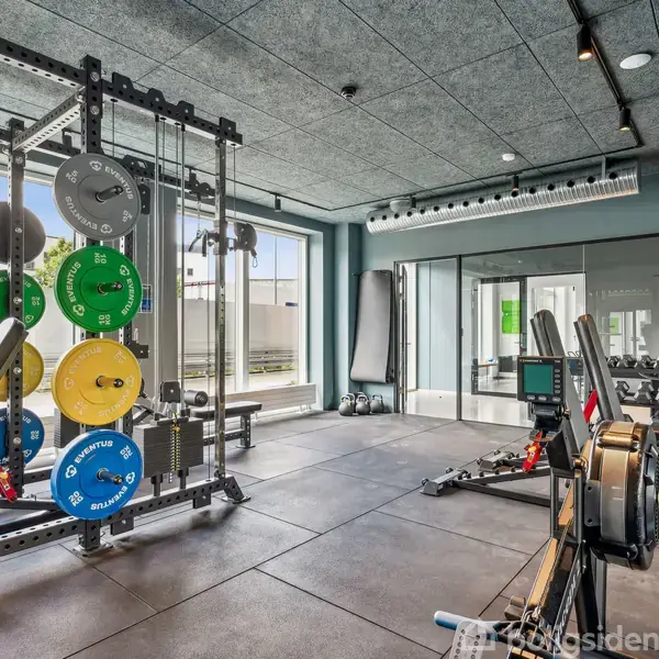 Et fitnesscenter indeholder en vægtstativ med farverige vægtskiver til venstre, og en romaskine til højre. Baggrunden viser vinduer og håndvægte, der skaber en lys og moderne atmosfære.