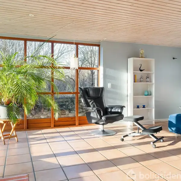 Et lyst stueområde med en stor grøn plante ved vinduerne. En sort lænestol med fodskammel står ved siden af et hvidt reolsystem. Blå sofa og lampe i baggrunden.