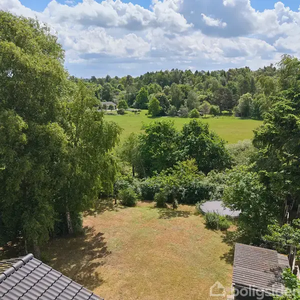 Træer omgiver en græsplæne, der strækker sig mod en skov. Himmelen er blå med skyer, som skaber en idylisk, naturlig landskabsstemning.