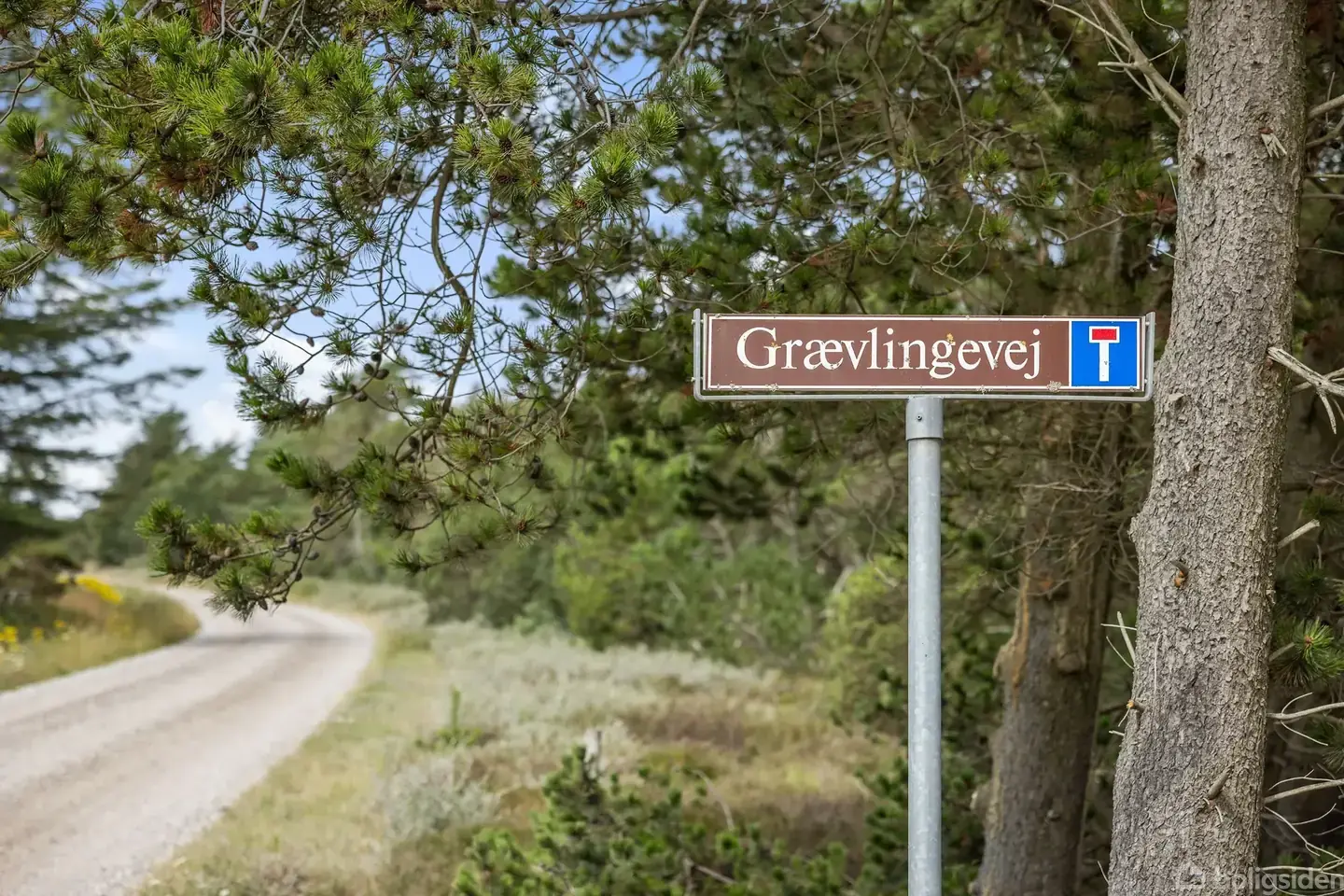Fritidsgrund på Grævlingevej 30, 9982 Ålbæk
