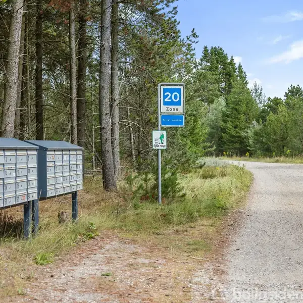 Postkasser står langs en grusvej omgivet af skov. Et vejskilt viser "20 Zone", indikerende en lav hastighed. Skoven skaber en fredelig, naturlig atmosfære omkring området.