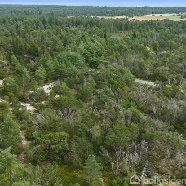 Vejskilt viser "Grævlingevej" og er placeret ved en grusvej i naturskønt område med træer og buske. Skiltet indikerer, at det er en blind vej.