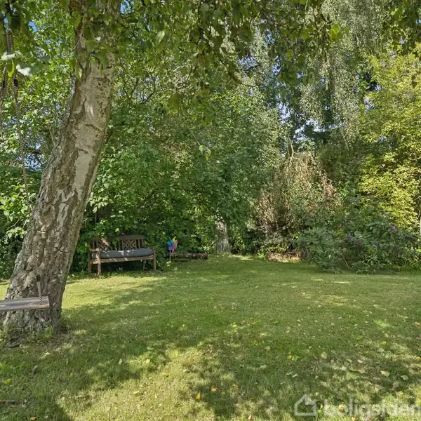 En stor trægynges hænger fra et træ i en frodig have. I baggrunden ses en bænk omgivet af tæt grøn vegetation under en solrig himmel.