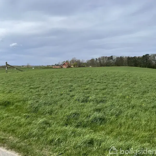 Grøn mark strækker sig over en flad landskab. I baggrunden ses nogle huse og træer. En gråvejrsdag skaber en dæmpet atmosfære. Ingen tekst bortset fra vandmærke.