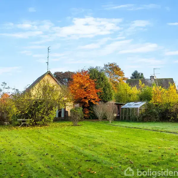 En stor grøn græsplæne strækker sig foran et hus omkranset af farverige træer i efterårsfarver. Et lille havebord og en drivhusstruktur ses i nærheden.