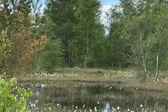 Villa på Vorslundevej 78, Vorslunde, 7323